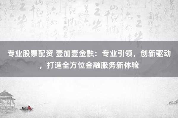 专业股票配资 壹加壹金融：专业引领，创新驱动，打造全方位金融服务新体验