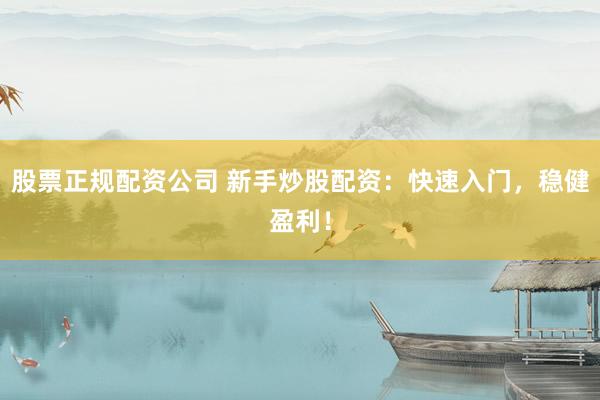 股票正规配资公司 新手炒股配资：快速入门，稳健盈利！