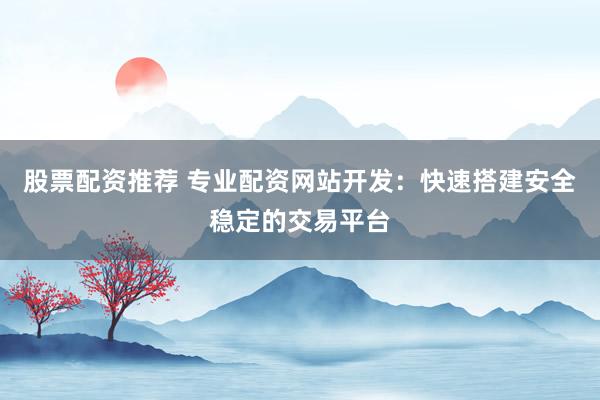 股票配资推荐 专业配资网站开发：快速搭建安全稳定的交易平台