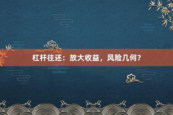 杠杆往还：放大收益，风险几何？