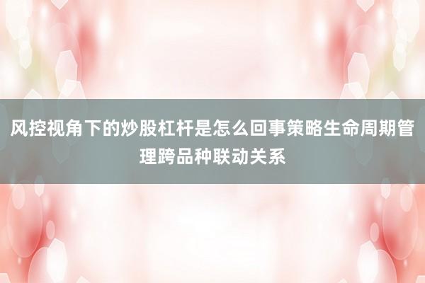 风控视角下的炒股杠杆是怎么回事策略生命周期管理跨品种联动关系