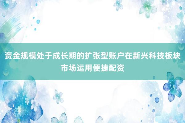 资金规模处于成长期的扩张型账户在新兴科技板块市场运用便捷配资