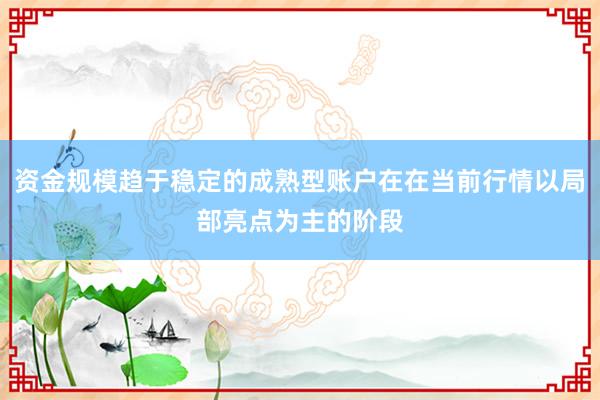 资金规模趋于稳定的成熟型账户在在当前行情以局部亮点为主的阶段