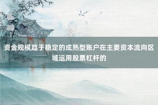 资金规模趋于稳定的成熟型账户在主要资本流向区域运用股票杠杆的