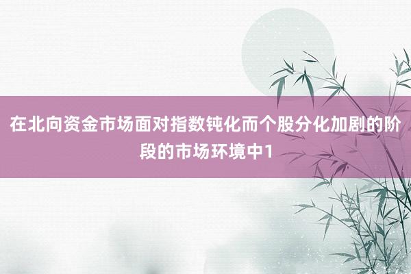 在北向资金市场面对指数钝化而个股分化加剧的阶段的市场环境中1