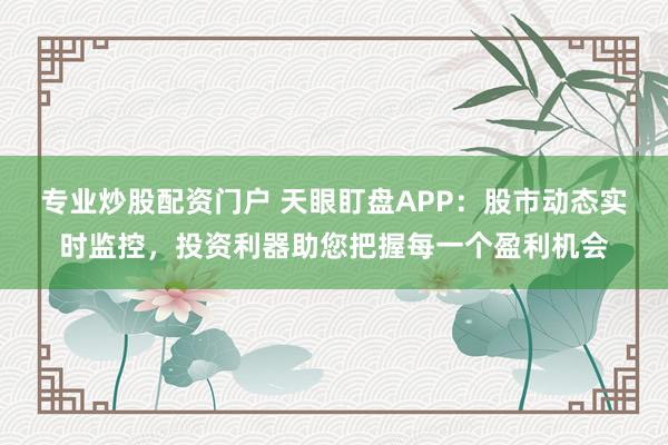 专业炒股配资门户 天眼盯盘APP：股市动态实时监控，投资利器助您把握每一个盈利机会