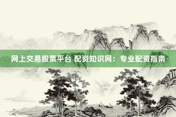 网上交易股票平台 配资知识网：专业配资指南