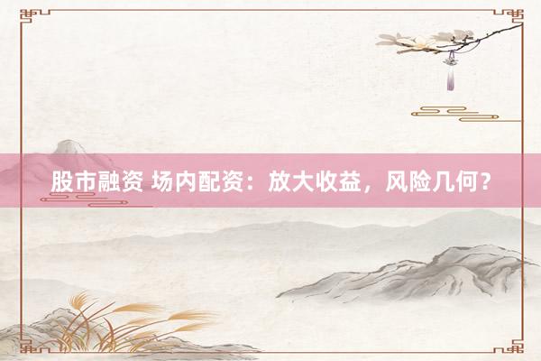 股市融资 场内配资：放大收益，风险几何？